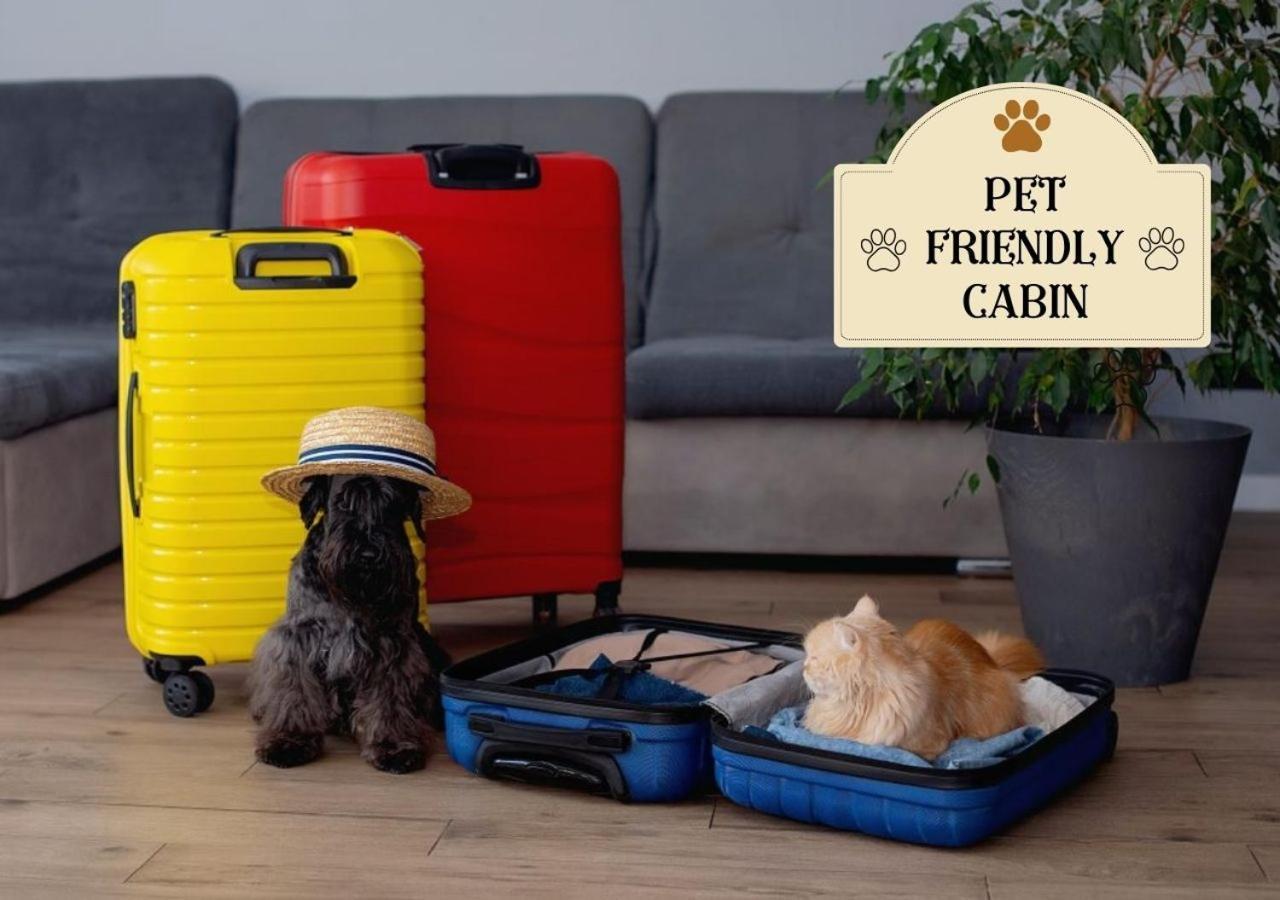 Fabulous Pet-Friendly, Family Cabin With Outdoor Kitchen, Hot Tub, Sauna, Fireplace, Theater Room, Arcade, Pool Table, And Fire Pit Within Minuties Of Dollywood Sevierville Esterno foto